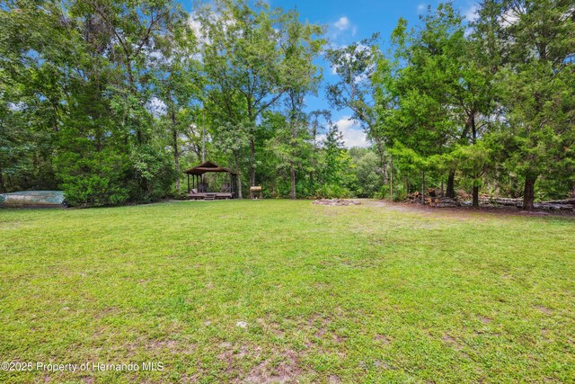 35031 Shale St, Webster, FL 33597 - photo 41