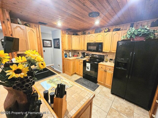 35031 Shale St, Webster, FL 33597 - photo 8