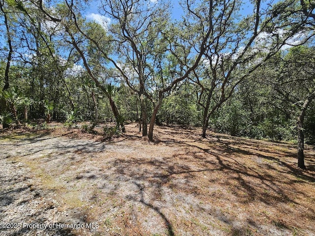 35031 Shale St, Webster, FL 33597 - photo 49