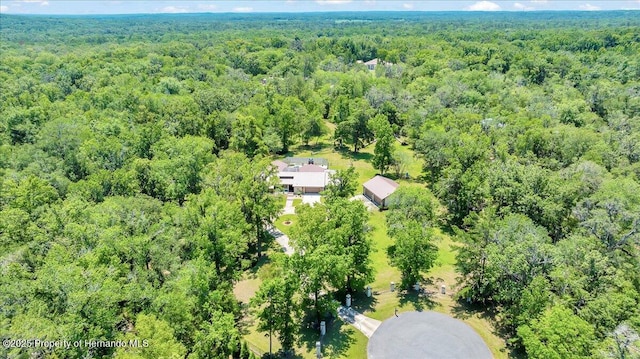 21000 Exeter Ct, Brooksville, FL 34601 - aerial overview of property's location featuring a heavily wooded area