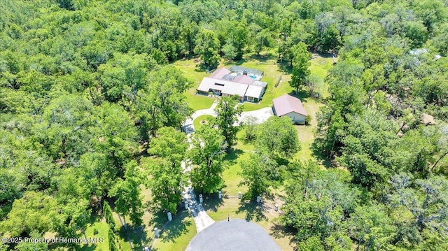 21000 Exeter Ct, Brooksville, FL 34601 - view of property location with a forest