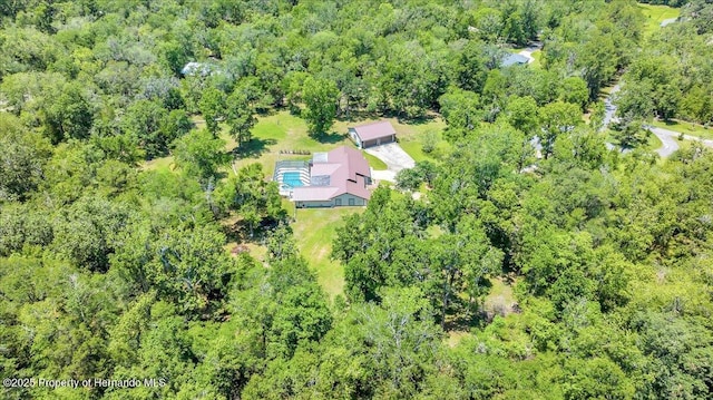 21000 Exeter Ct, Brooksville, FL 34601 - view from above of property featuring a forest