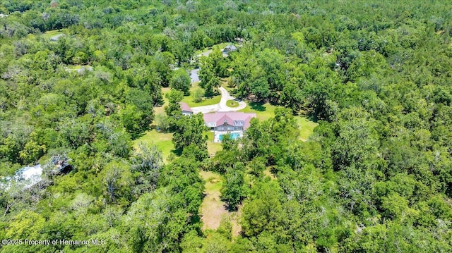 21000 Exeter Ct, Brooksville, FL 34601 - view of property location featuring a heavily wooded area