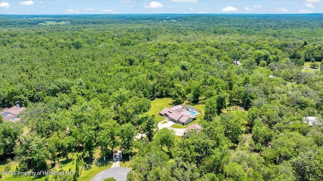 21000 Exeter Ct, Brooksville, FL 34601 - aerial overview of property's location featuring a heavily wooded area