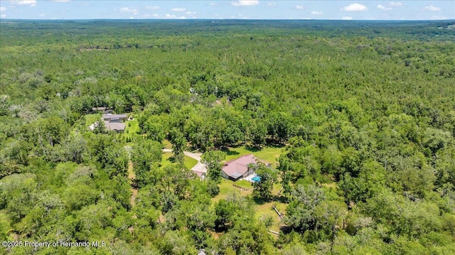 21000 Exeter Ct, Brooksville, FL 34601 - aerial view of a forest