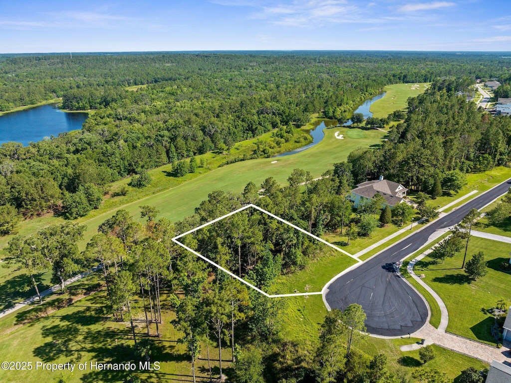 20118 English Walnut Pl, Brooksville, FL 34601 - photo 1