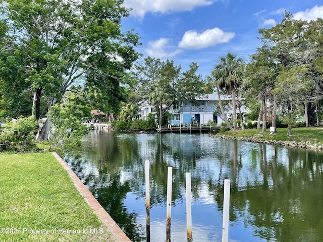 6045 Colony, Weeki Wachee, FL 34607