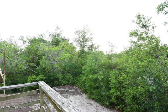8568 Heather Blvd, Weeki Wachee, FL 34613 - photo 37
