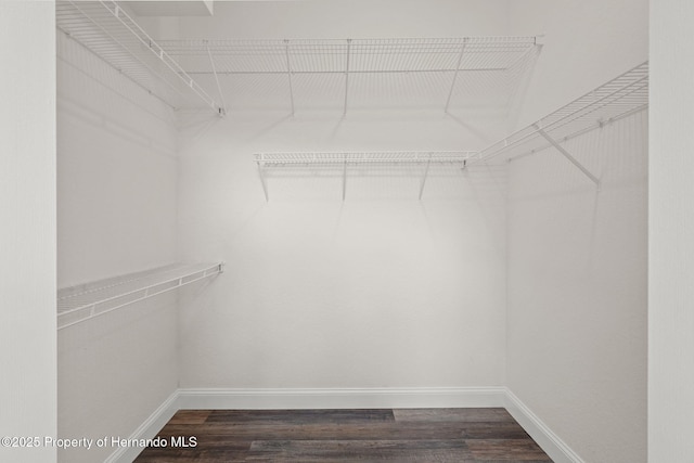 walk in closet featuring dark wood finished floors