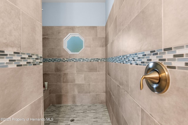 4960 Hidden Knob Trl, Spring Hill, FL 34609 - full bath with a tile shower