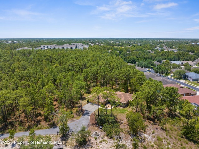 4960 Hidden Knob Trl, Spring Hill, FL 34609 - bird's eye view of a forest