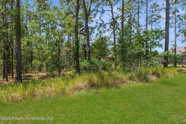 4960 Hidden Knob Trl, Spring Hill, FL 34609 - view of undeveloped land