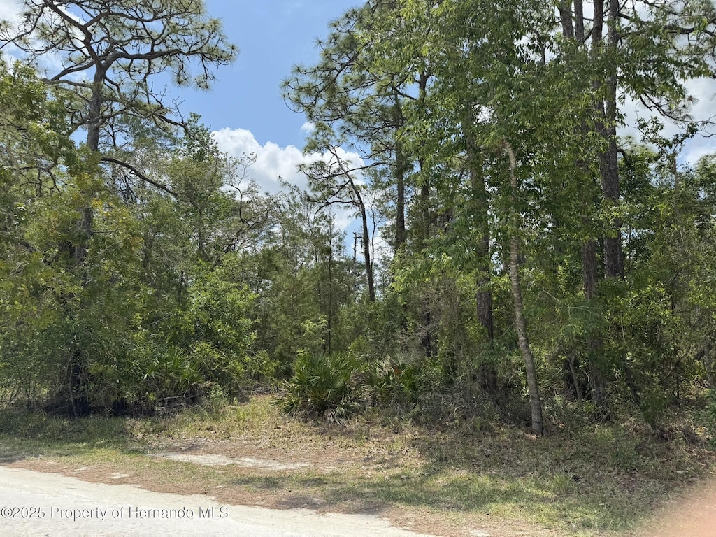LOT55 Nakoma Way, Weeki Wachee, FL 34613