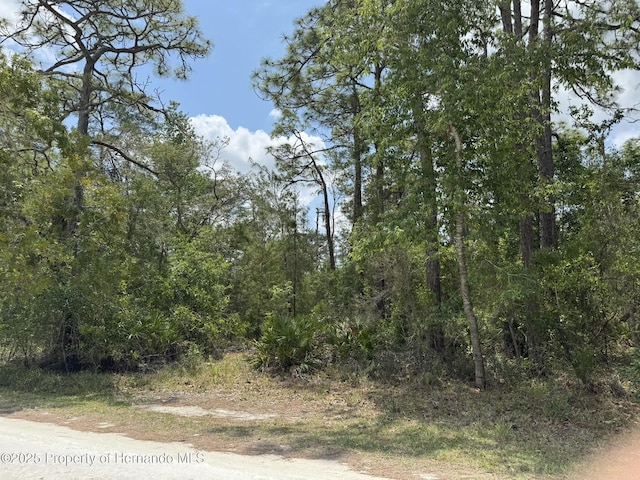 LOT55 Nakoma Way, Weeki Wachee, FL 34613