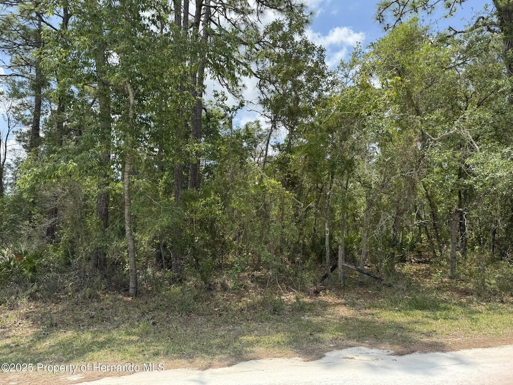 LOT55 Nakoma Way, Weeki Wachee, FL 34613
