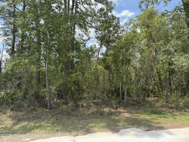 LOT55 Nakoma Way, Weeki Wachee, FL 34613