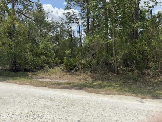 LOT55 Nakoma Way, Weeki Wachee, FL 34613