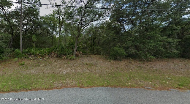 3004 W Kirkwood Pl, Citrus Springs, FL 34433