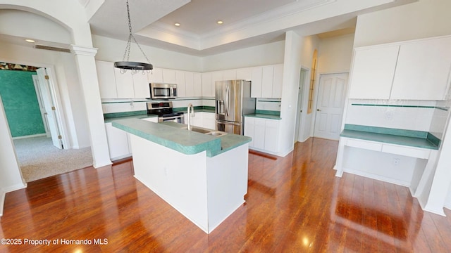 4048 St Ives Blvd, Spring Hill, FL 34609 - kitchen featuring appliances with stainless steel finishes, a center island with sink, dark wood-style floors, a tray ceiling, and white cabinets