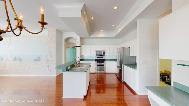 4048 St Ives Blvd, Spring Hill, FL 34609 - kitchen with appliances with stainless steel finishes, a sink, dark wood-style flooring, crown molding, and a tray ceiling