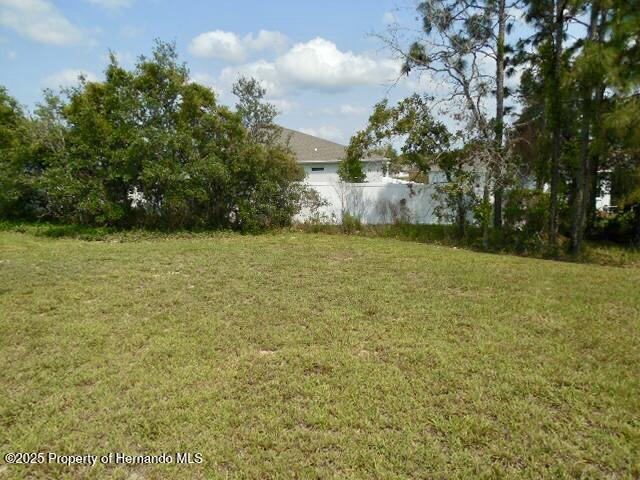 view of grassy yard