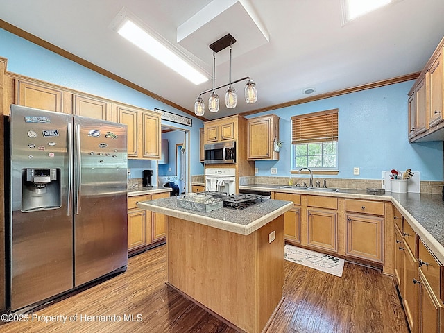 16173 Wiscon Rd, Brooksville, FL 34601 - kitchen with appliances with stainless steel finishes, a sink, ornamental molding, vaulted ceiling, and wood finished floors