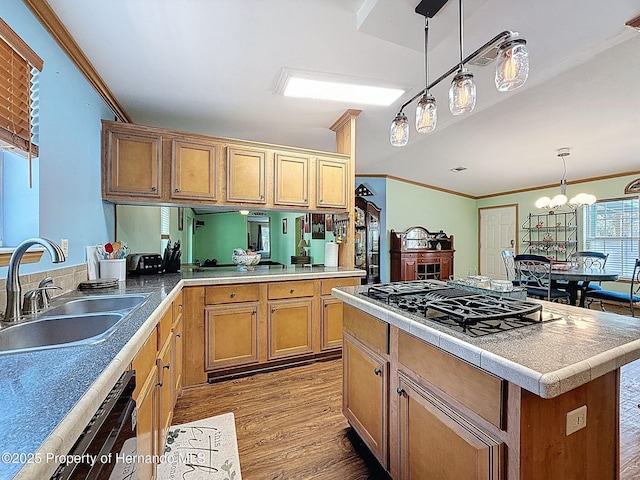 16173 Wiscon Rd, Brooksville, FL 34601 - kitchen with a sink, black cooktop, wood finished floors, dishwashing machine, and a chandelier