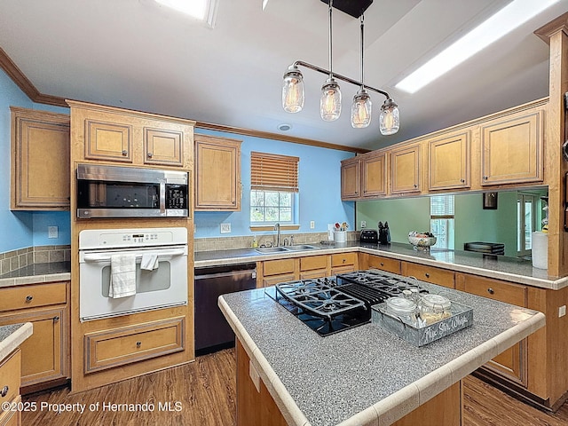 16173 Wiscon Rd, Brooksville, FL 34601 - kitchen featuring stainless steel appliances, a sink, ornamental molding, dark wood-type flooring, and pendant lighting