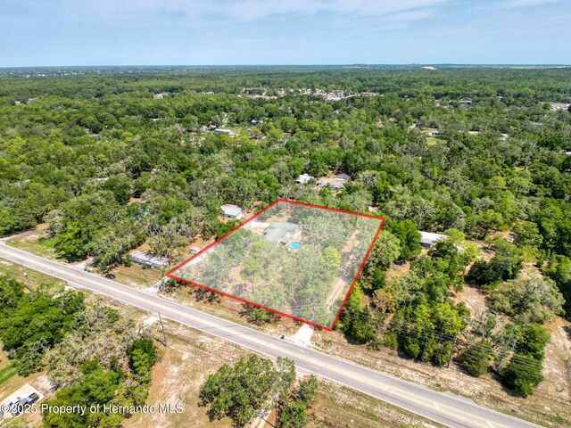 16173 Wiscon Rd, Brooksville, FL 34601 - view of property location with a forest and property parcel outlined