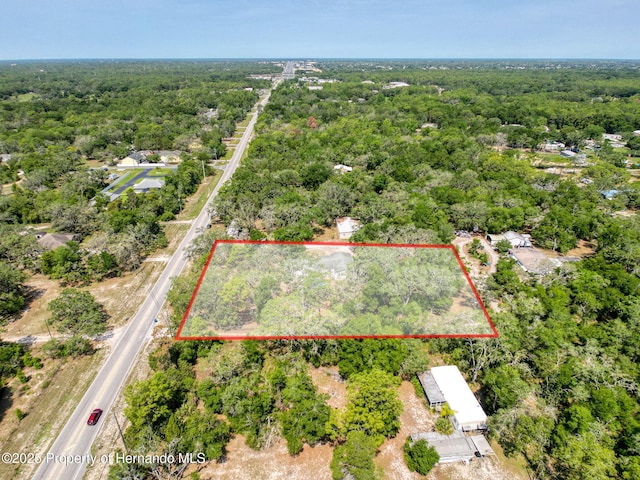 16173 Wiscon Rd, Brooksville, FL 34601 - aerial view of property's location featuring a heavily wooded area and property parcel outlined