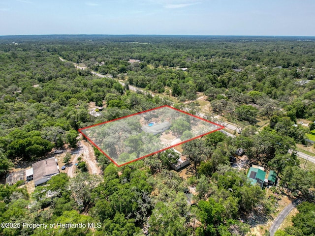 16173 Wiscon Rd, Brooksville, FL 34601 - aerial overview of property's location with a forest and property boundaries highlighted