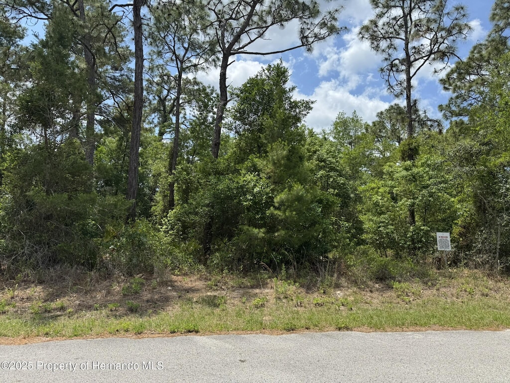 LOT77 Waterbird Way, Weeki Wachee, FL 34613