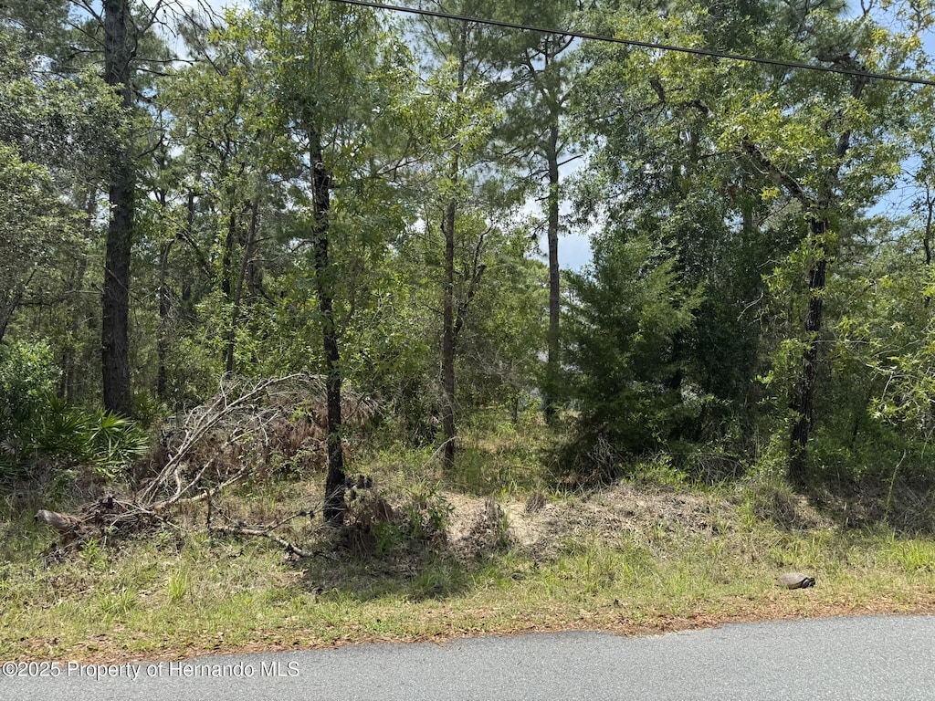 LOT62 Michigan Ave, Weeki Wachee, FL 34613