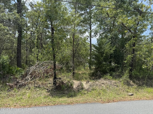 LOT62 Michigan Ave, Weeki Wachee, FL 34613