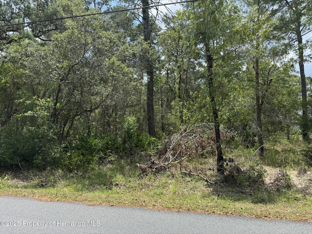 LOT62 Michigan Ave, Weeki Wachee, FL 34613