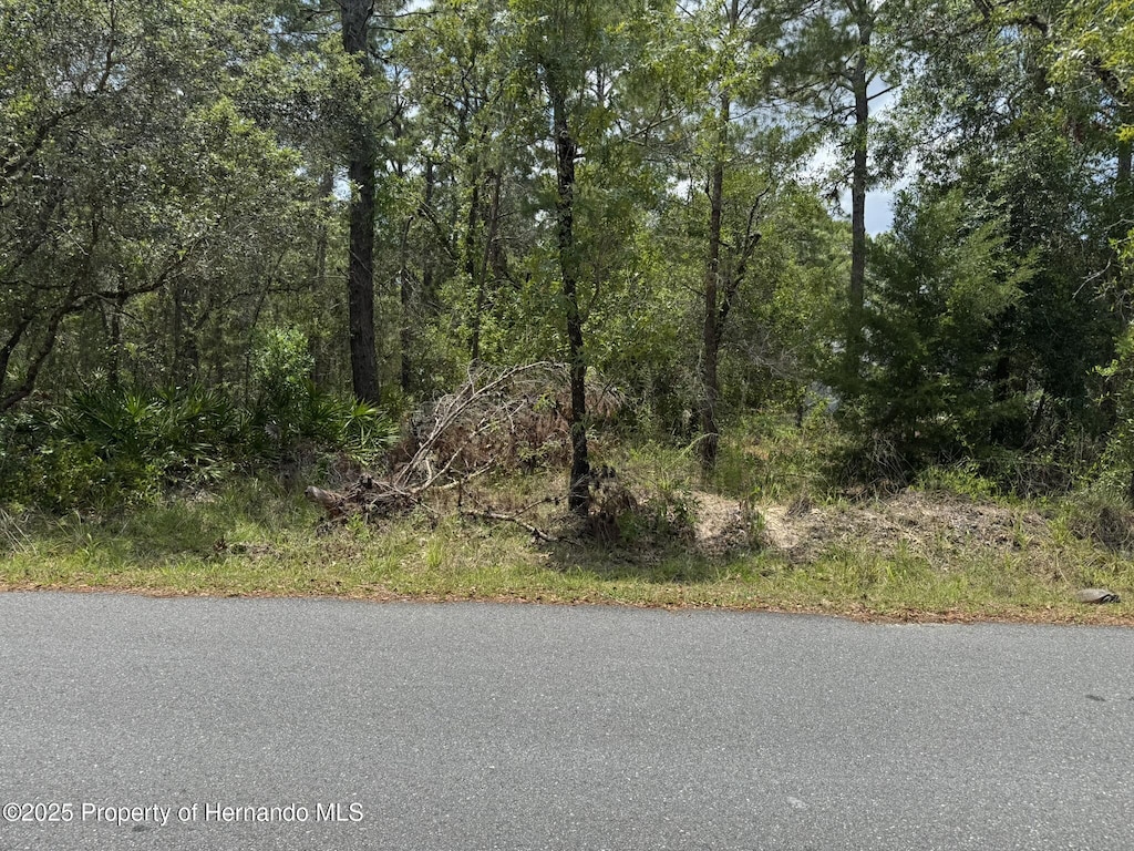 LOT62 Michigan Ave, Weeki Wachee, FL 34613