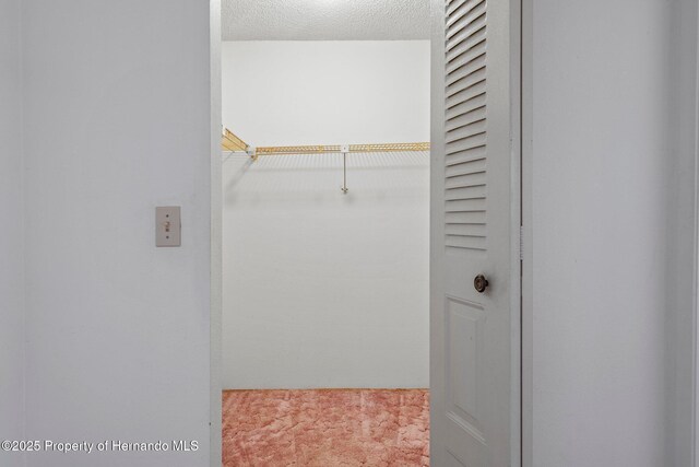 10820 Hachita Dr, Port Richey, FL 34668 - spacious closet featuring carpet flooring