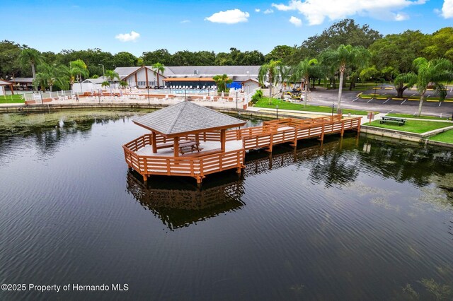 10820 Hachita Dr, Port Richey, FL 34668 - dock with a water view and view of scattered trees