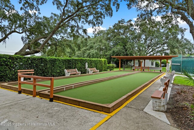 10820 Hachita Dr, Port Richey, FL 34668 - view of community with a game area