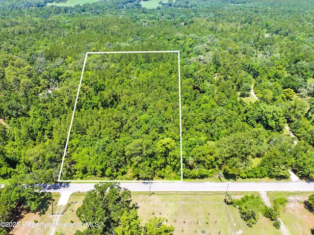 0 Emerson Rd, Brooksville, FL 34601 - photo 1