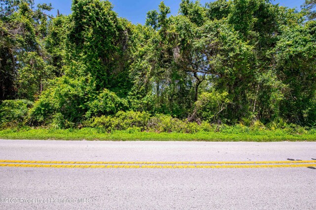 0 Emerson Rd, Brooksville, FL 34601 - photo 14
