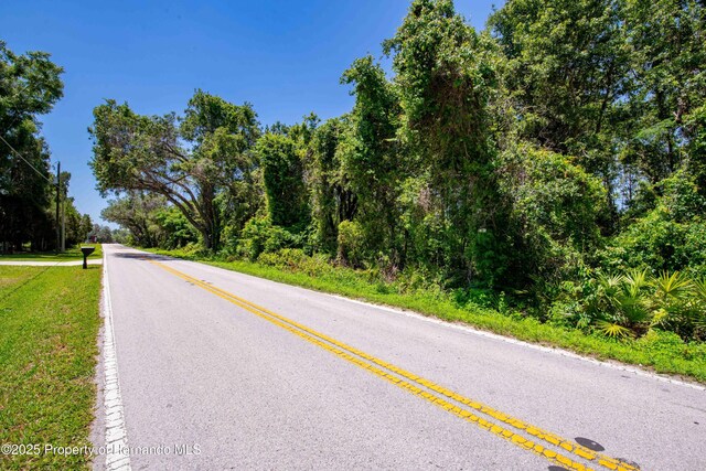 0 Emerson Rd, Brooksville, FL 34601 - photo 16