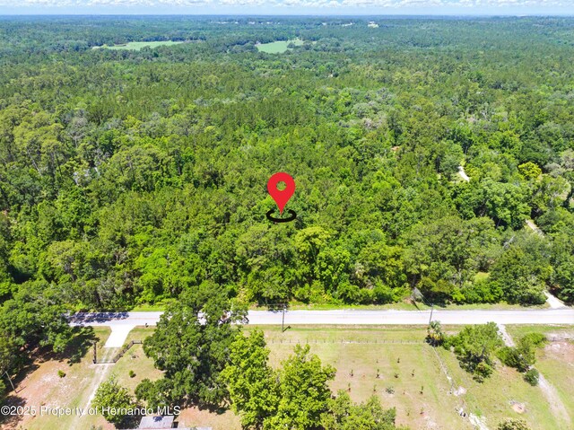 0 Emerson Rd, Brooksville, FL 34601 - photo 3