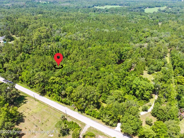 0 Emerson Rd, Brooksville, FL 34601 - photo 4