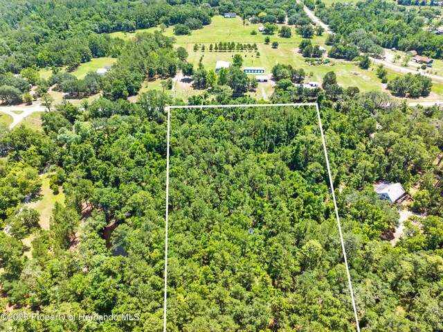 0 Emerson Rd, Brooksville, FL 34601 - photo 2