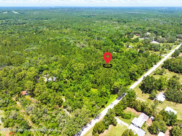 0 Emerson Rd, Brooksville, FL 34601 - photo 5