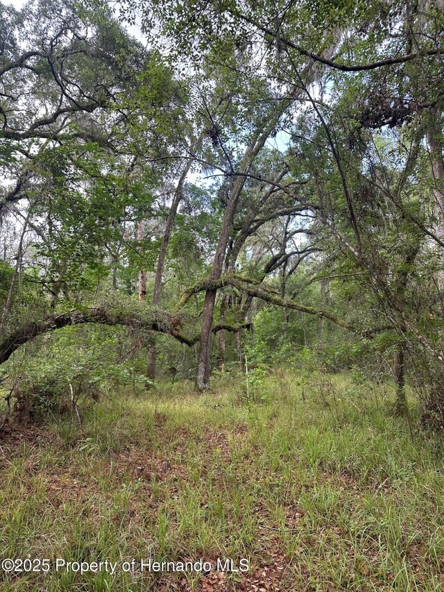 0 Emerson Rd, Brooksville, FL 34601 - photo 8
