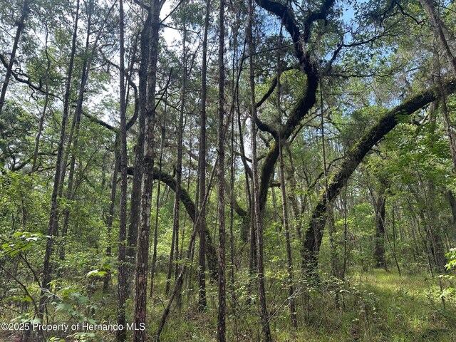 0 Emerson Rd, Brooksville, FL 34601 - photo 6