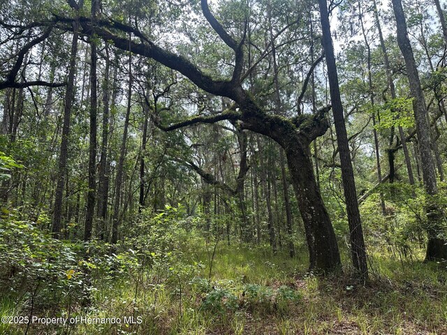 0 Emerson Rd, Brooksville, FL 34601 - photo 7