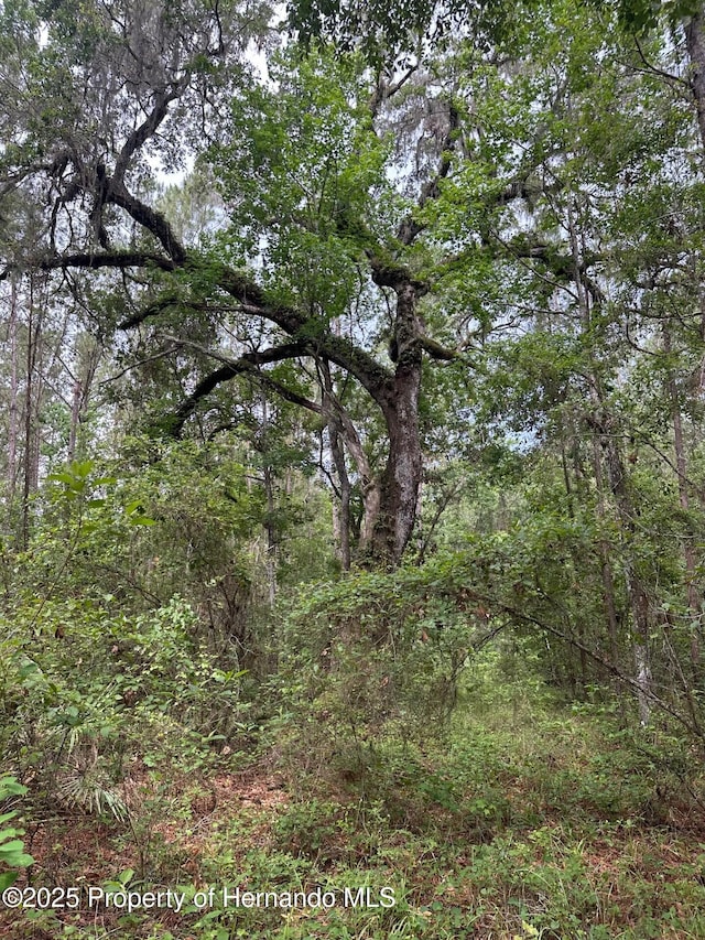 0 Emerson Rd, Brooksville, FL 34601 - photo 11